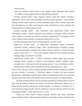 Neįgaliųjų vaikų laisvalaikio organizavimas globos namuose 12 puslapis