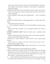 Neįgaliųjų vaikų laisvalaikio organizavimas globos namuose 17 puslapis