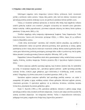 Neįgaliųjų vaikų laisvalaikio organizavimas globos namuose 8 puslapis