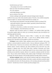 Specialiosios pedagoginės pagalbos organizavimo aspektai  20 puslapis