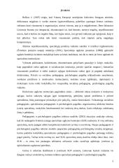 Specialiosios pedagoginės pagalbos organizavimo aspektai  3 puslapis