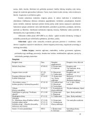 Specialiųjų poreikių vaikų adaptacijos laikotarpio ypatumai 20 puslapis