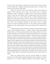 Švietimo reformos įtaka darbuotojų kaitai VPU, fizikos ir taikomosios kompiuterijos fakultete ir jos vertinimas 20 puslapis