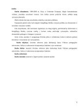 Švietimo reformos įtaka darbuotojų kaitai VPU, fizikos ir taikomosios kompiuterijos fakultete ir jos vertinimas 3 puslapis