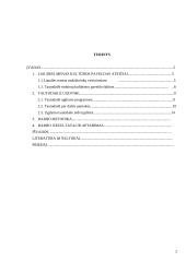 Tautodailės tradicijų panaudojimas dailės pamokose 2 puslapis