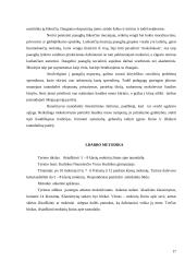 Tautodailės tradicijų panaudojimas dailės pamokose 17 puslapis