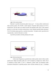 Tautodailės tradicijų panaudojimas dailės pamokose 19 puslapis