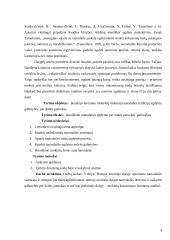 Tautodailės tradicijų panaudojimas dailės pamokose 4 puslapis