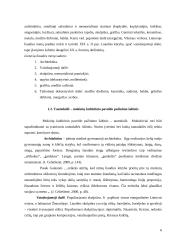 Tautodailės tradicijų panaudojimas dailės pamokose 6 puslapis