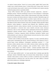 Treniruočių teorizacija ir principai 11 puslapis