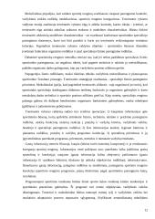 Treniruočių teorizacija ir principai 12 puslapis