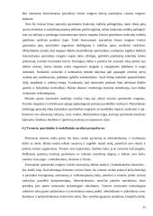 Treniruočių teorizacija ir principai 15 puslapis