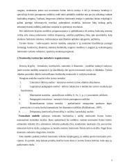 Treniruočių teorizacija ir principai 5 puslapis