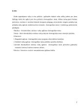 Ikimokyklinio amžiaus vaikų ugdymas choreografijos menu 2 puslapis