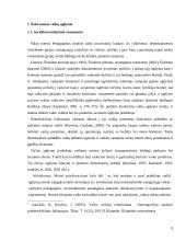 Ikimokyklinio amžiaus vaikų ugdymas choreografijos menu 3 puslapis