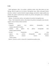 Ikimokyklinio amžiaus vaikų ugdymas tėvų požiūriu choreografijos menu 2 puslapis