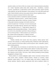 Ikimokyklinio amžiaus vaikų ugdymas tėvų požiūriu choreografijos menu 15 puslapis