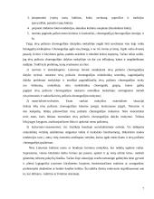 Ikimokyklinio amžiaus vaikų ugdymas tėvų požiūriu choreografijos menu 7 puslapis