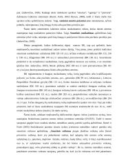 NepilnamečIų smurtinių nusikaltimų rizikos įvertinimas 11 puslapis