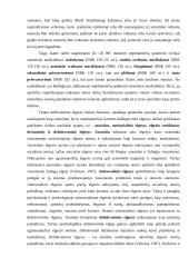 NepilnamečIų smurtinių nusikaltimų rizikos įvertinimas 12 puslapis