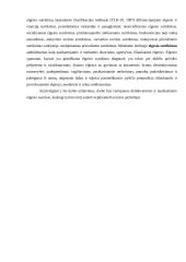 NepilnamečIų smurtinių nusikaltimų rizikos įvertinimas 13 puslapis