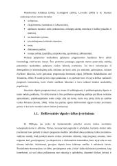 NepilnamečIų smurtinių nusikaltimų rizikos įvertinimas 16 puslapis