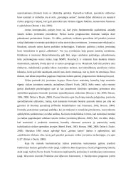 NepilnamečIų smurtinių nusikaltimų rizikos įvertinimas 17 puslapis