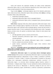 NepilnamečIų smurtinių nusikaltimų rizikos įvertinimas 4 puslapis