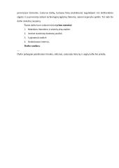 NepilnamečIų smurtinių nusikaltimų rizikos įvertinimas 5 puslapis