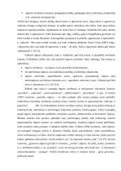 NepilnamečIų smurtinių nusikaltimų rizikos įvertinimas 9 puslapis