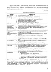 Interesų grupės veikiančios verslą 11 puslapis