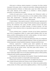 Interesų grupės veikiančios verslą 9 puslapis