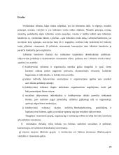 Politinio lobizmo efektyvumas Lietuvoje 20 puslapis