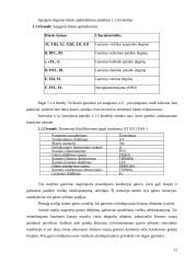 Priešgaisrinių durų atsparumo ugniai vertinimas ir prognozavimas 12 puslapis