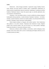 Bendravimo samprata, rūšys ir poreikiai 2 puslapis