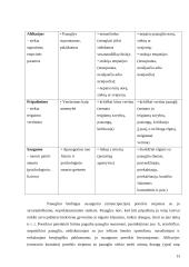 Paauglių krizės 13 puslapis