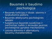 Penitencinė psichologija 7 puslapis