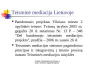 Mediacijos ir teisminio sutaikymo principai, etika ir teisinis reglamentavimas 19 puslapis