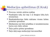 Mediacijos pristatymas 3 puslapis