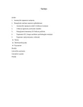 Tapatumo raida paauglystėje 2 puslapis