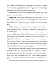 Tapatumo raida paauglystėje 16 puslapis