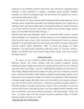 Tapatumo raida paauglystėje 18 puslapis