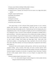 Tapatumo raida paauglystėje 19 puslapis