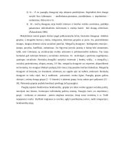 Tapatumo raida paauglystėje 20 puslapis