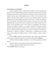 Tapatumo raida paauglystėje 3 puslapis