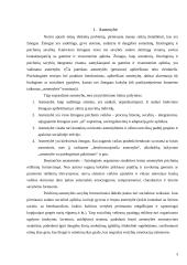 Studentų menkavertiškumo ir perfekcionizmo sąsajos 3 puslapis