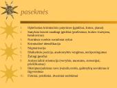 Laisvės atėmimas 5 puslapis