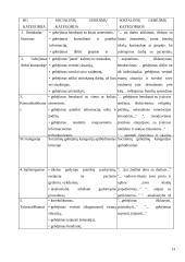 Bendruomenės slaugytojų problemos bei galimi jų sprendimo būdai 13 puslapis