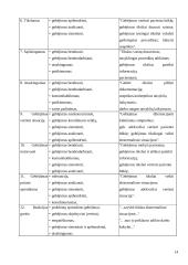 Bendruomenės slaugytojų problemos bei galimi jų sprendimo būdai 14 puslapis