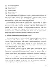 Bendruomenės slaugytojų problemos bei galimi jų sprendimo būdai 17 puslapis